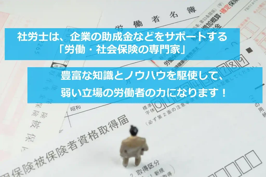 【みんなのねんきん】社会保険労務士は社会保険の専門家です